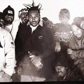 Wu-tang - List pictures