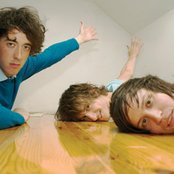 Wombats - List pictures