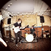 Fawn Spots - List pictures