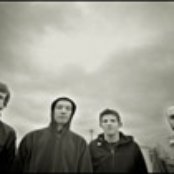 Small Brown Bike - List pictures