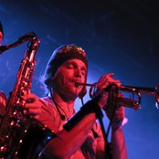 Salmonella Dub - List pictures