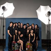 Mother Falcon - List pictures