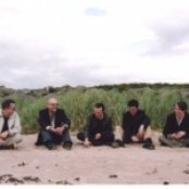 Trash Can Sinatras - List pictures