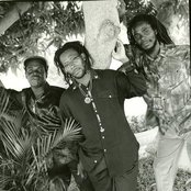 Mighty Diamonds - List pictures