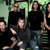 Great White - List pictures