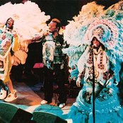 The Wild Magnolias - List pictures