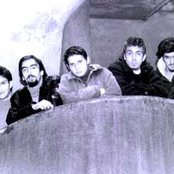 Ornatos Violeta - List pictures