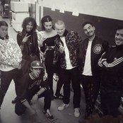 Jungle - List pictures