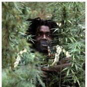 Peter Tosh - List pictures