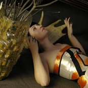 Bertie Blackman - List pictures