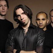 Old Dead Tree - List pictures