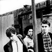 Aztec Camera - List pictures