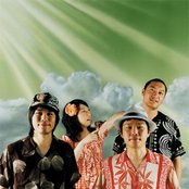 Bonobos - List pictures