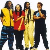 Living Colour - List pictures