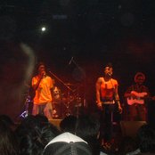 Easy Star All-stars - List pictures