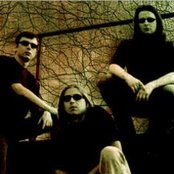 Forest Stream - List pictures