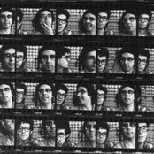 Half Japanese - List pictures