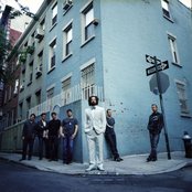 Counting Crows - List pictures