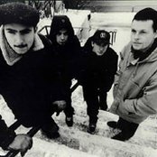 Millencolin - List pictures