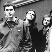 Quicksand - List pictures