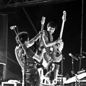 The Zen Circus - List pictures