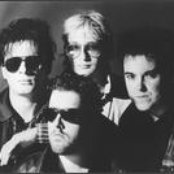 Peter And The Test Tube Babies - List pictures