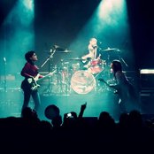 Eruca Sativa - List pictures