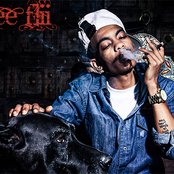 Teeflii - List pictures