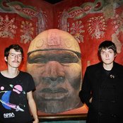 Miniature Tigers - List pictures