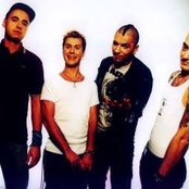 Terrorgruppe - List pictures