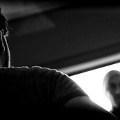 Solar Bears - List pictures