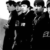 Digital Summer - List pictures