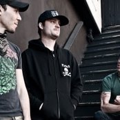 Cobra Skulls - List pictures