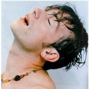 Damon Albarn - List pictures