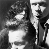 Killdozer - List pictures