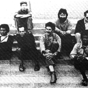 Company - List pictures