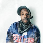 Shad - List pictures