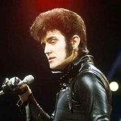 Alvin Stardust - List pictures