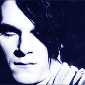 Zornik - List pictures