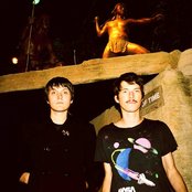 Miniature Tigers - List pictures