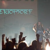 Ektomorf - List pictures