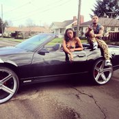 Cassow - List pictures