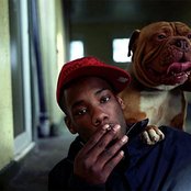 Crazy Titch - List pictures