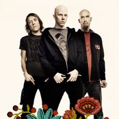 Apulanta - List pictures