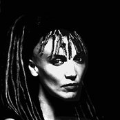 Jarboe - List pictures