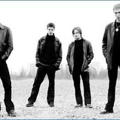 Bay Laurel - List pictures