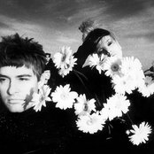 Phillip Boa - List pictures