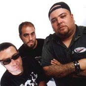 Ratos De Porão - List pictures