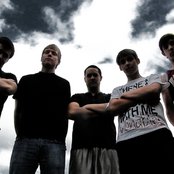 The Room Colored Charlatan - List pictures