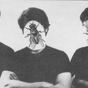 Halo Of Flies - List pictures